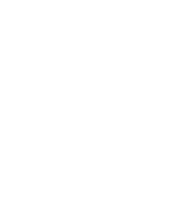 I shoot people. A wedding photography blog logo